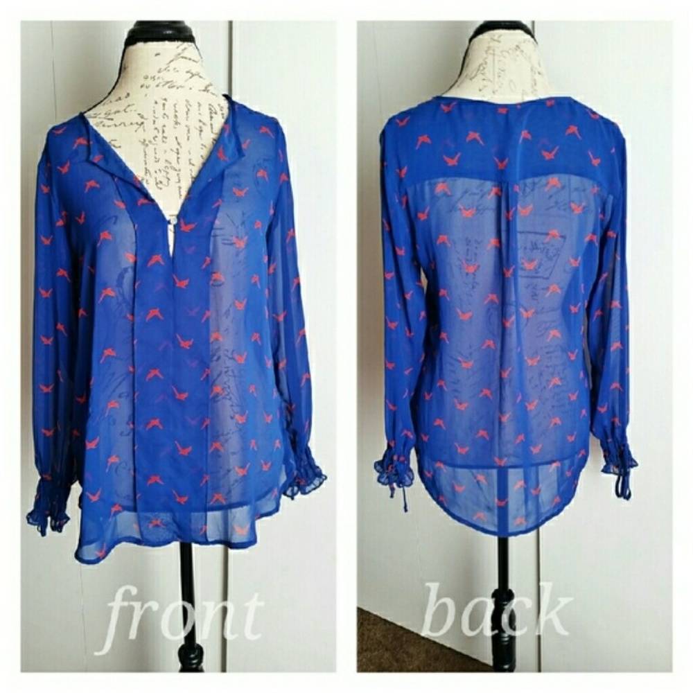 Bellatrix sheer blouse - Picture 2 of 2